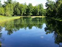 Pine Creek Pond